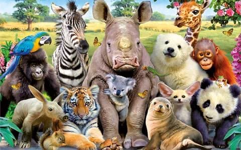 ANIMALESS