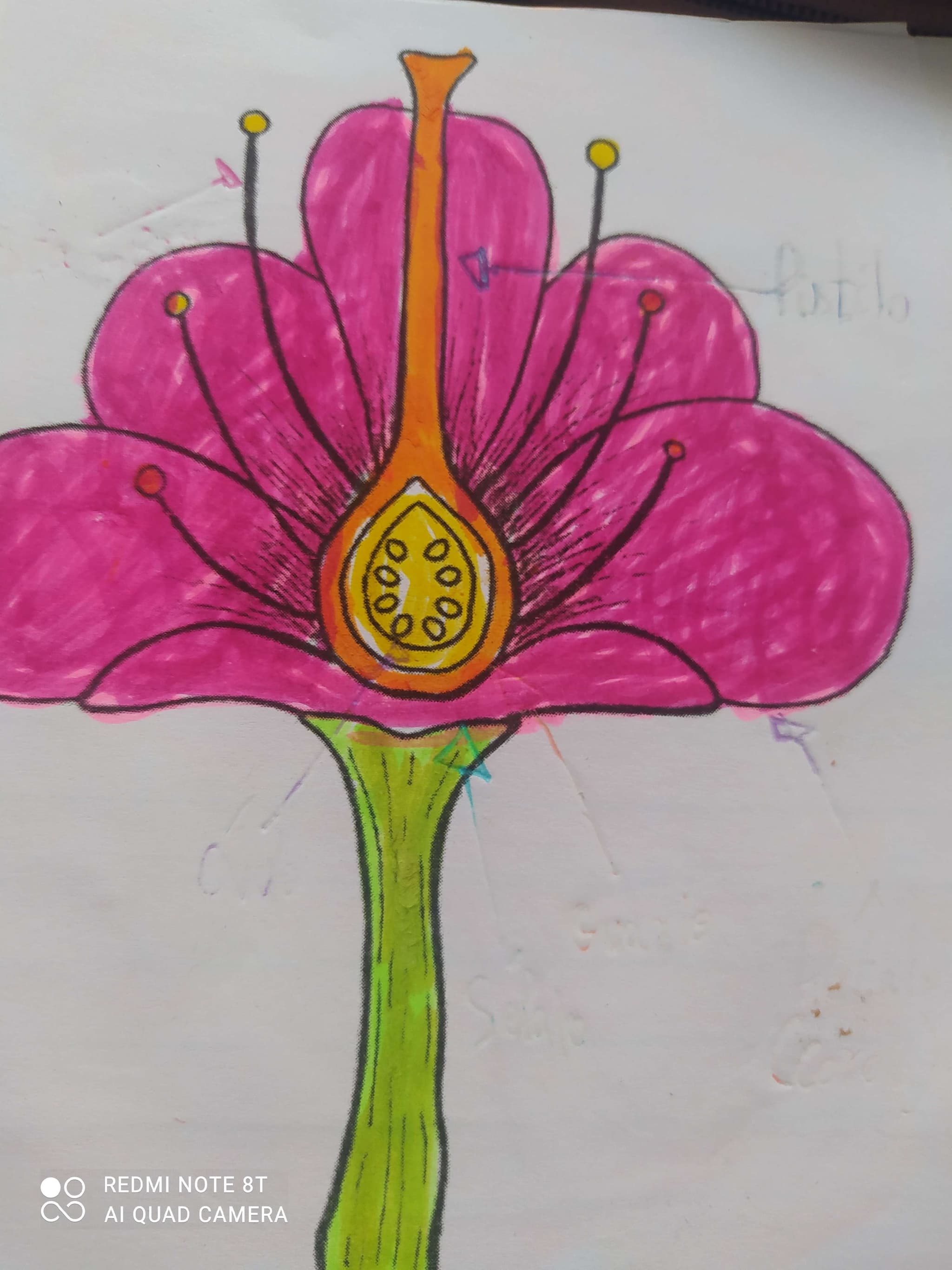 La reproducción sexual de las plantas