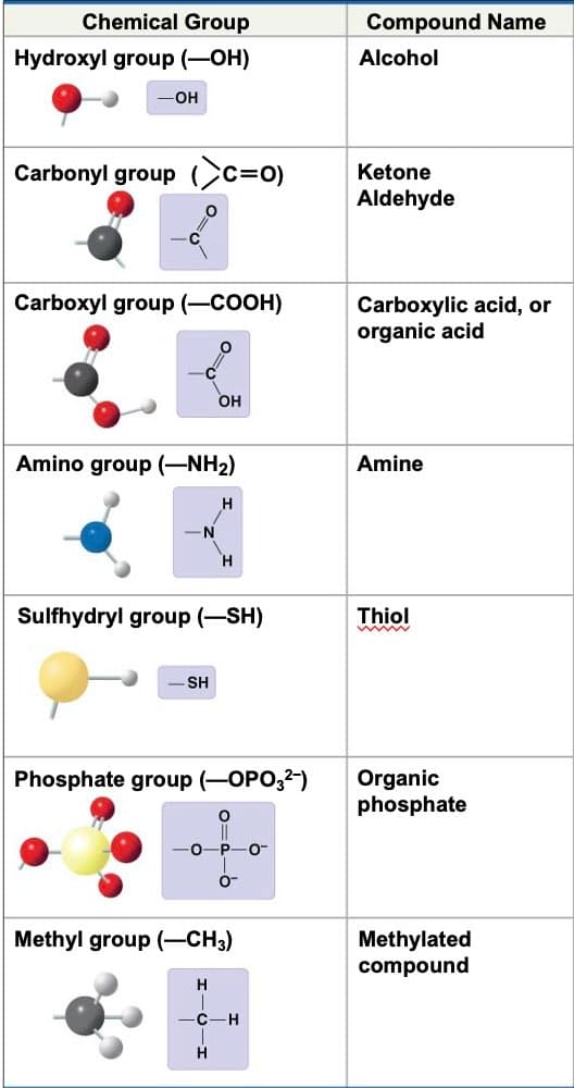 Functional Groups and Names